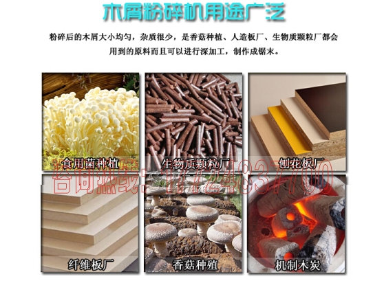 ʳ�þ�����C