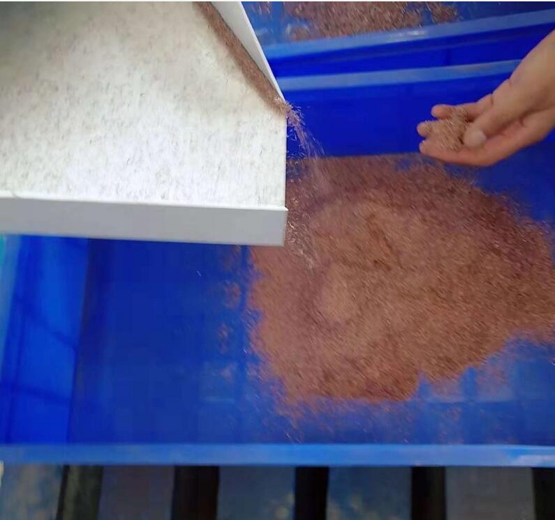 С���~�יC�ǂ��S���|���ۺ��